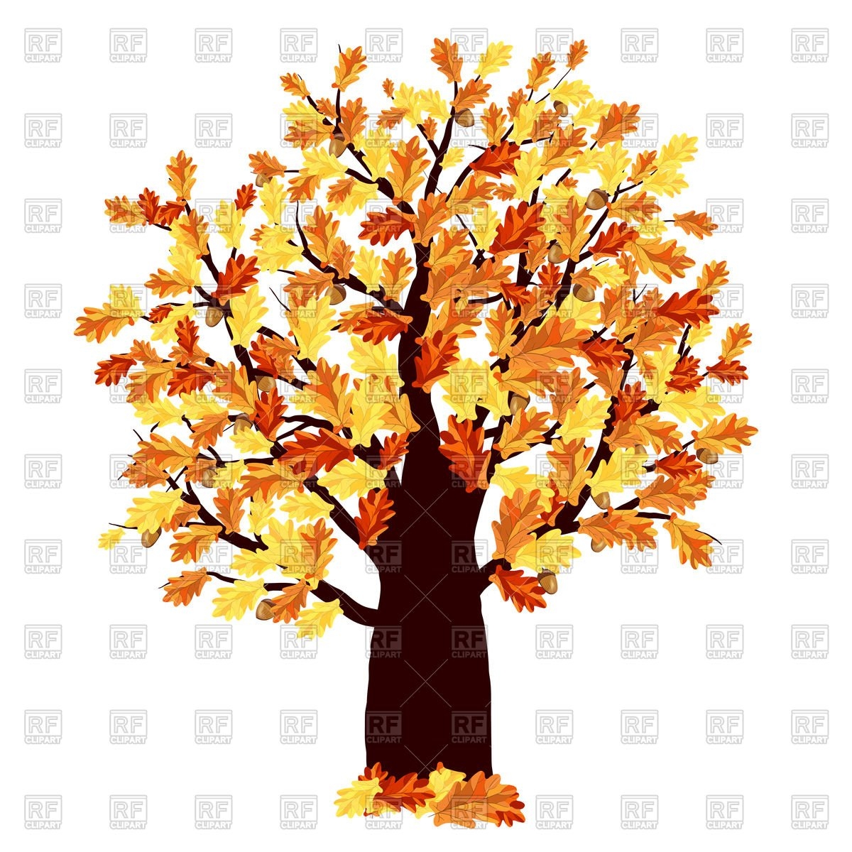 Дуб осенью рисунок - 36 фото