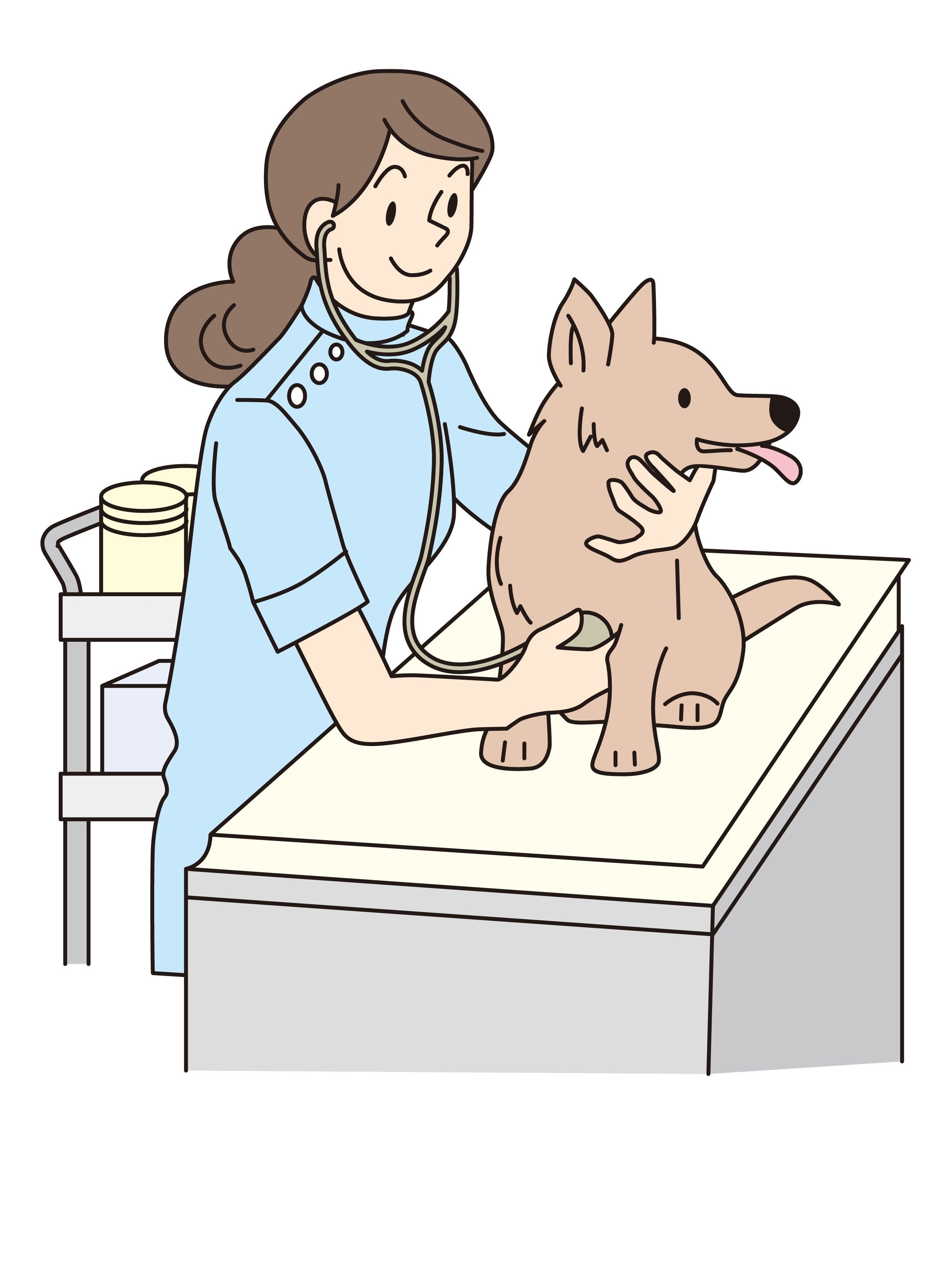 рисунок ветеринара с животными