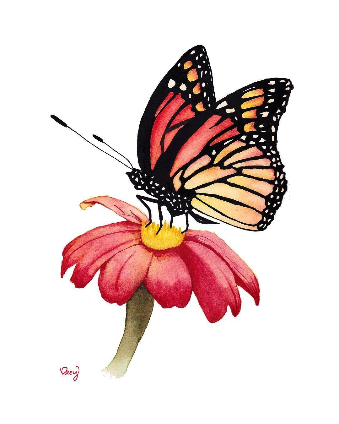 Детский рисунок бабочка на цветке