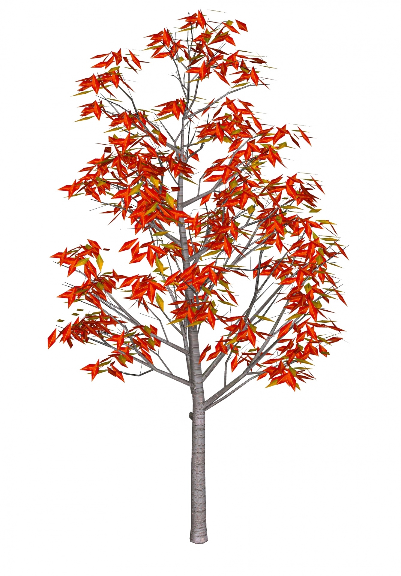 Рябина: дерево, листья, плоды рябины