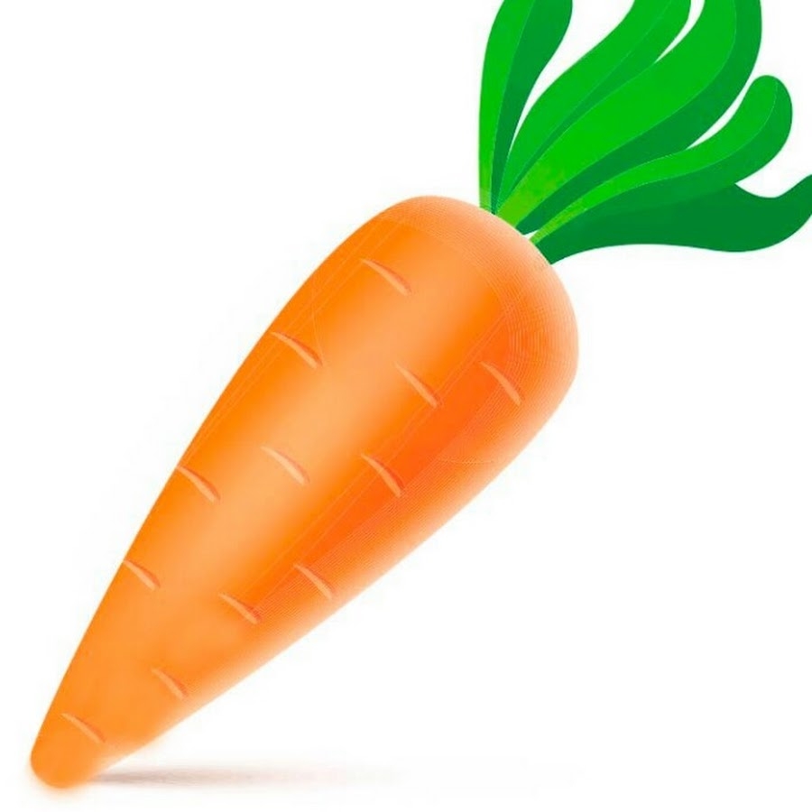 картинка морковь для детей на белом фоне