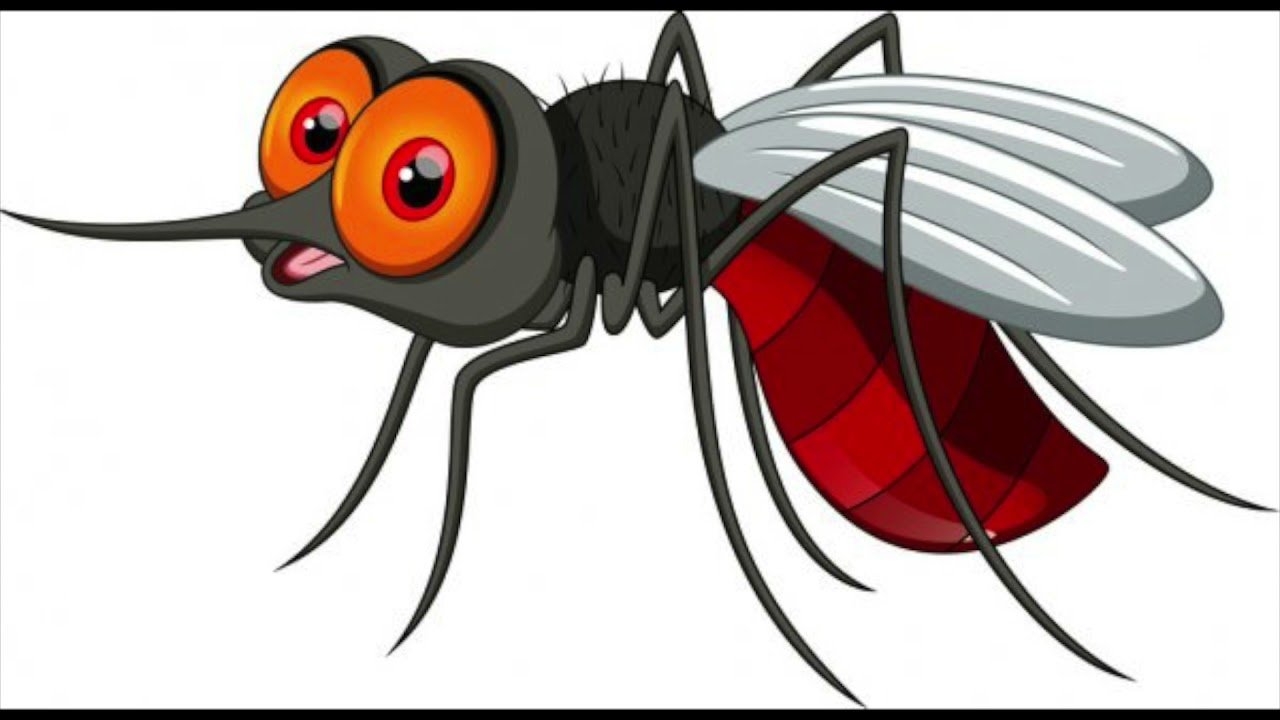 Маска-сетка для защиты от комаров TATONKA Moskito-kopfschutz Simple