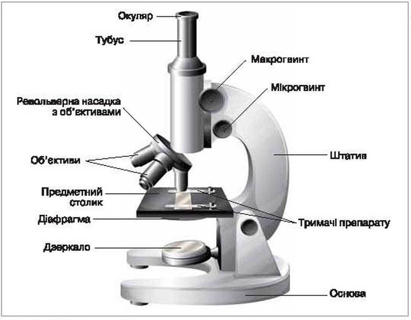 Микроскоп Dr.Focal световой