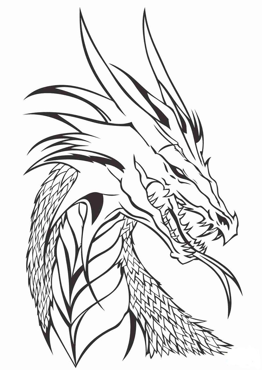 Идеи на тему «Драконы» (53) | рисунки драконов, эскизы животных, эскиз дракона