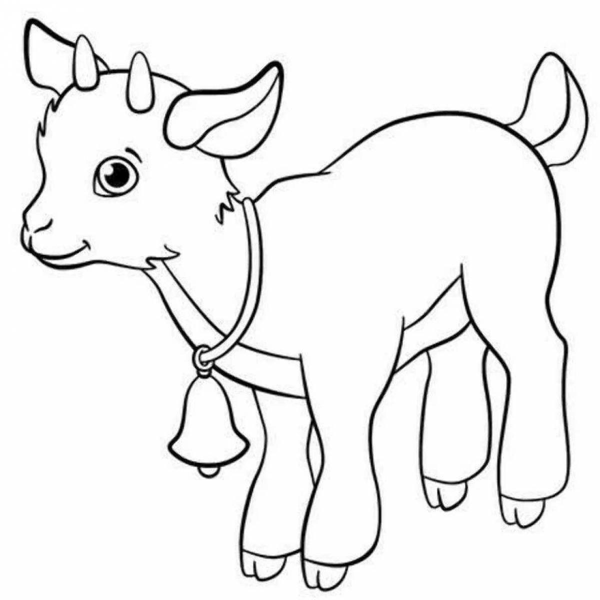 Раскраска Маленький козленок | Раскраски овечек и козочек. Раскраски овец и коз