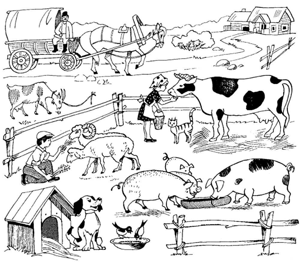 Раскраска животные ферма. Ферма с животными