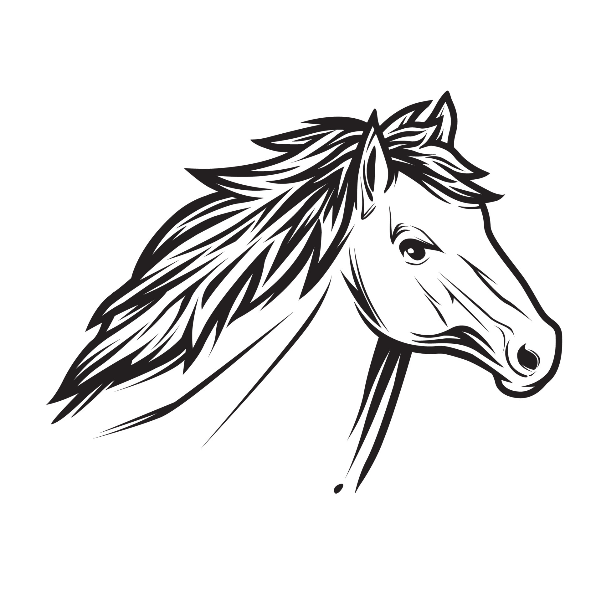 Урок второй. Рисуем голову лошади | Лошадиные картины, Лошади, Эскизы животных