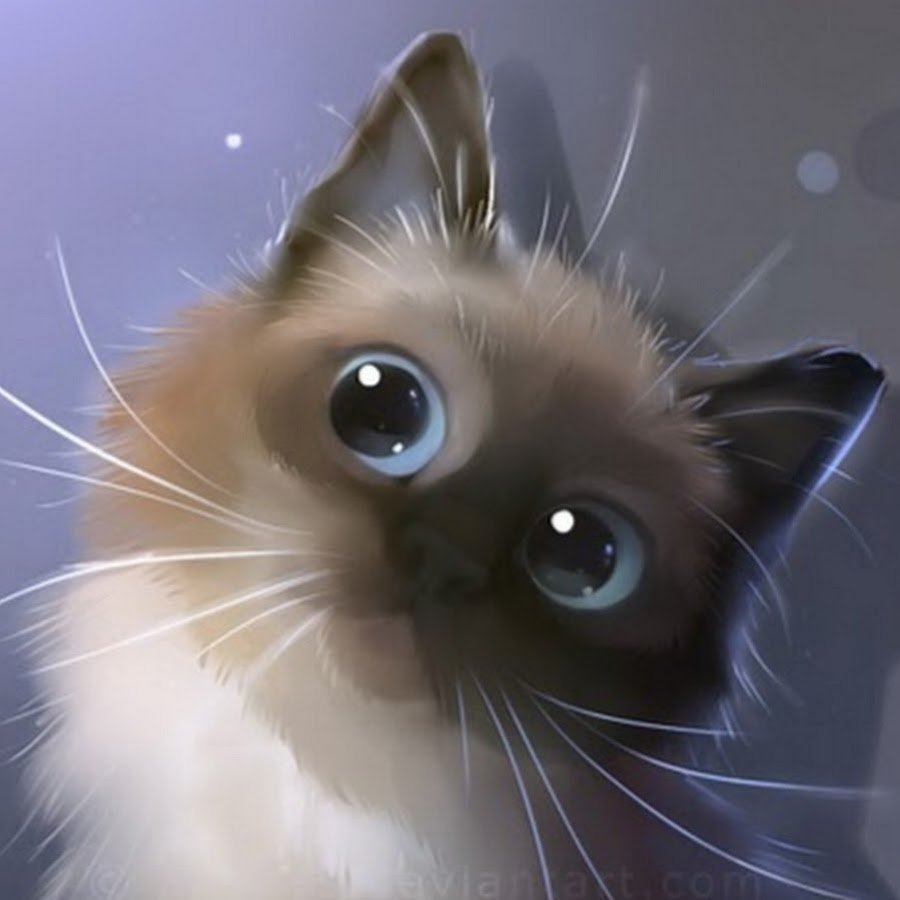 сиамский кот рисунок