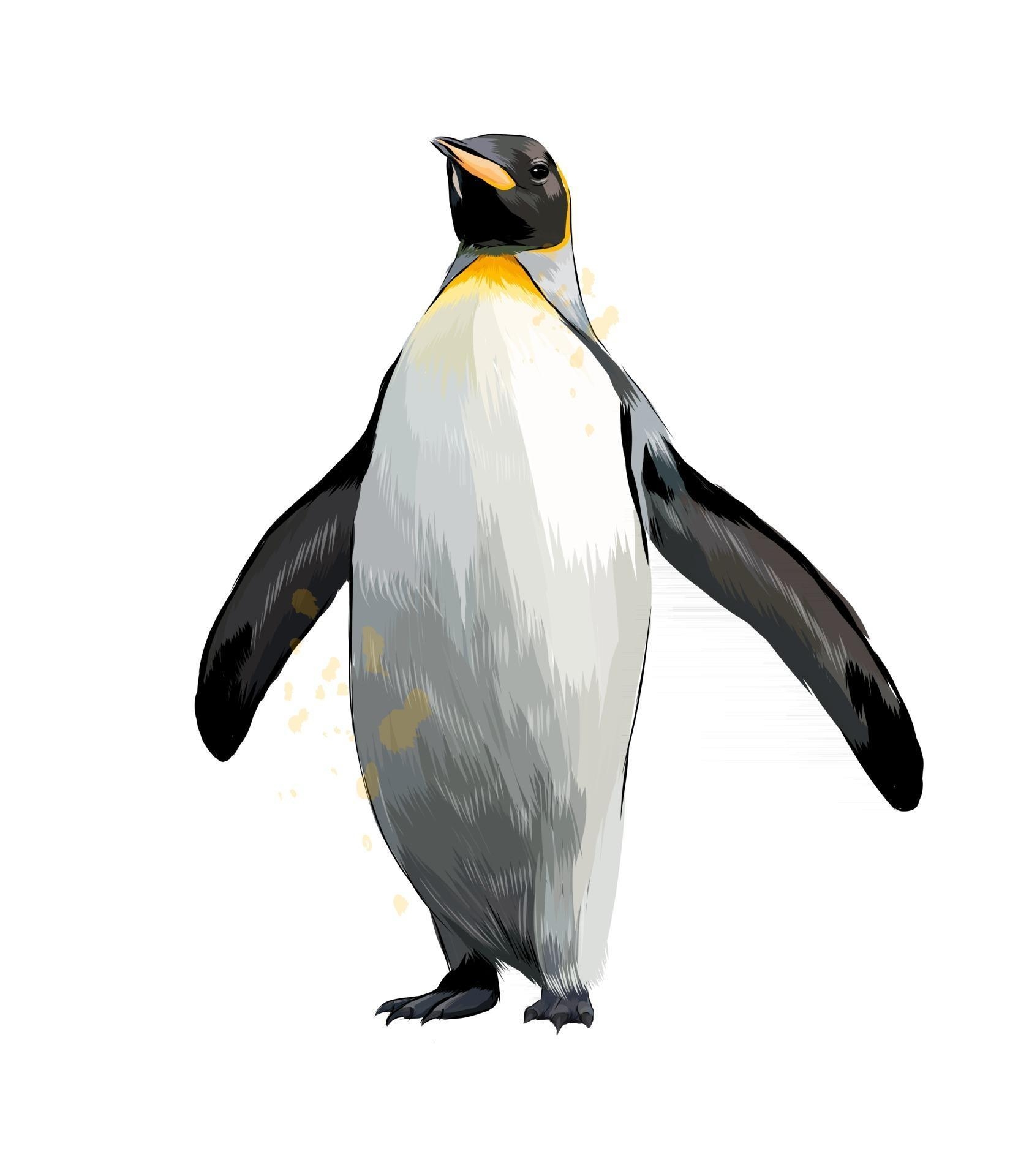 Пингвины. Рисунки для медитаций