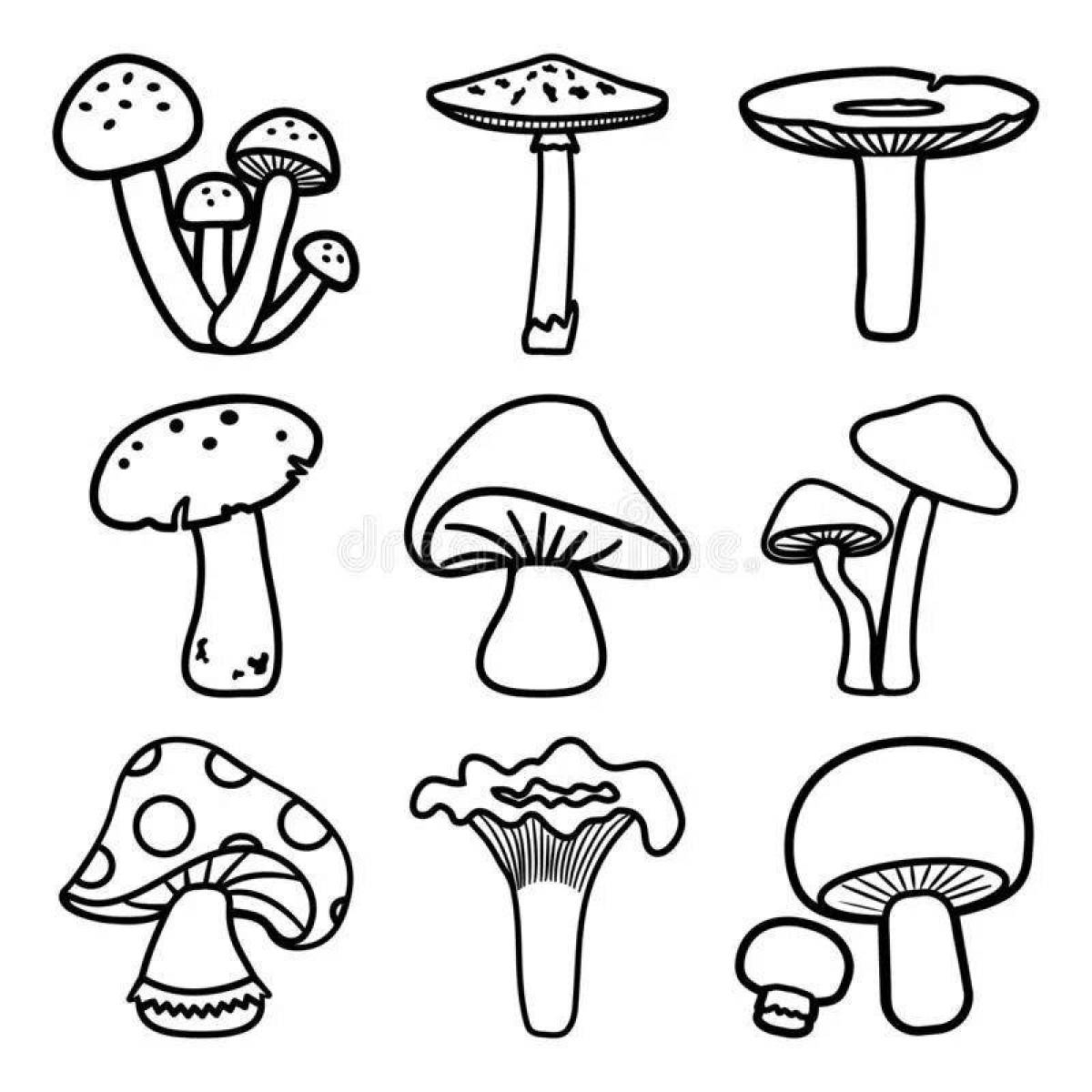 Ягоды и грибы раскраска - 62 фото