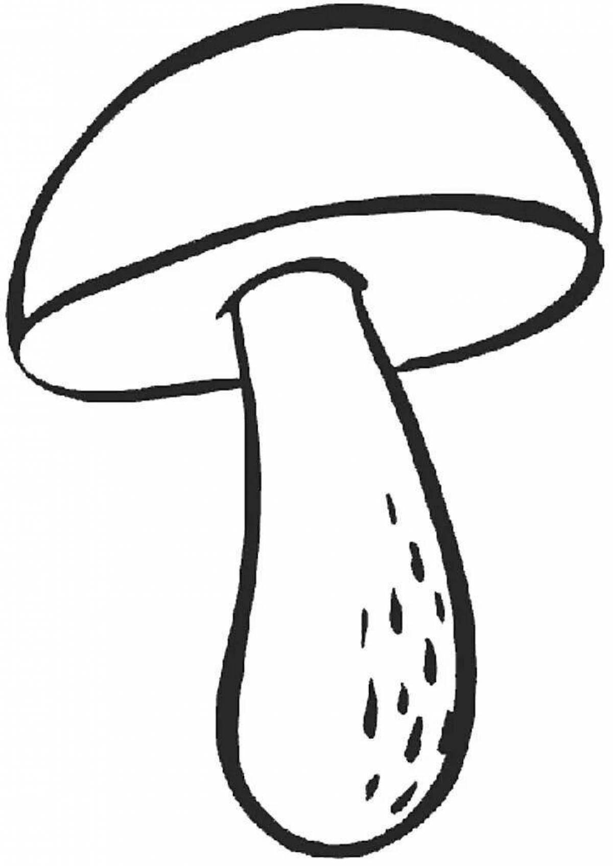Векторы по запросу Раскраска грибы
