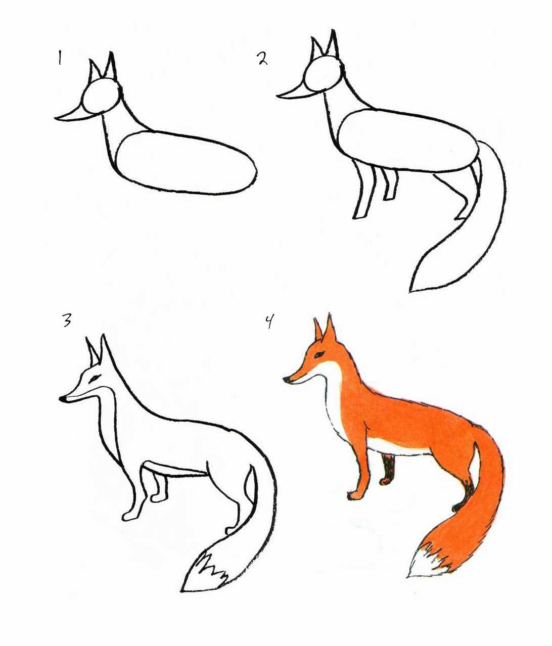 Как нарисовать лесных животных карандашом поэтапно