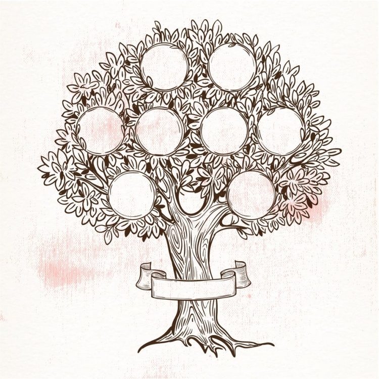 Родственное дерево рисунок