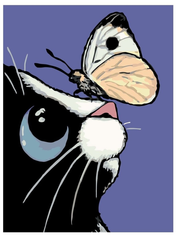 Котик с бабочкой на носу рисунок