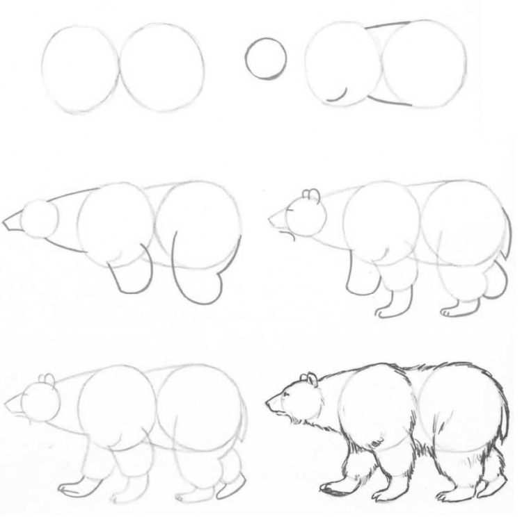Рисунок белого медведя карандашом