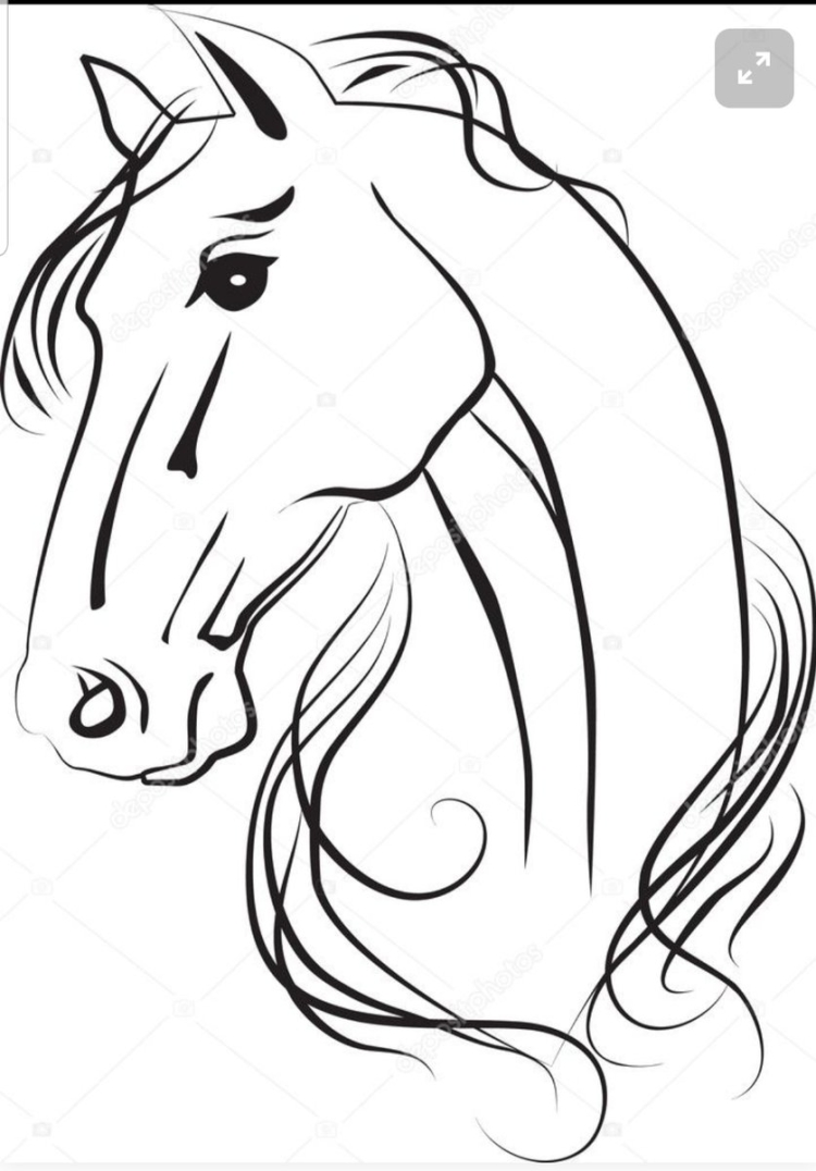 Рисунок карандашом голова лошади