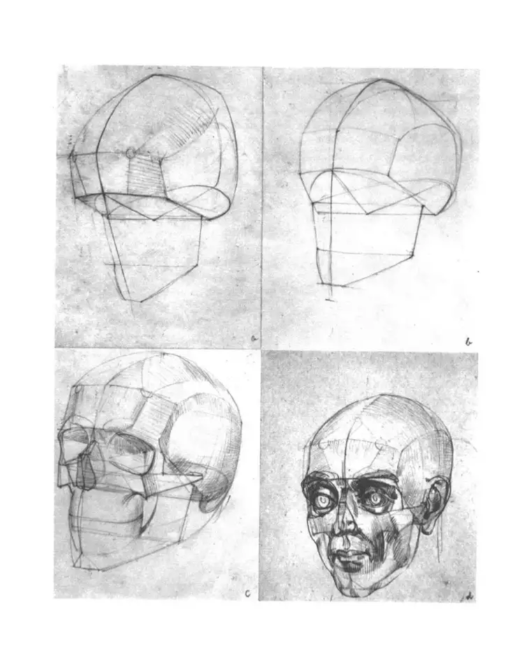 Конструктивный рисунок черепа