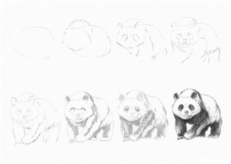 Панда рисунок для детей простой (49 фото)