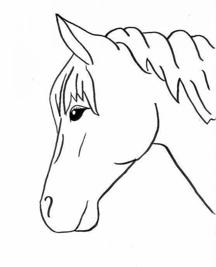 Фото по запросу Книжка раскраска лошадьми - страница 7