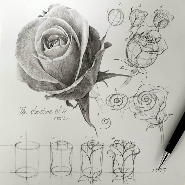 Цветы ручкой рисунок