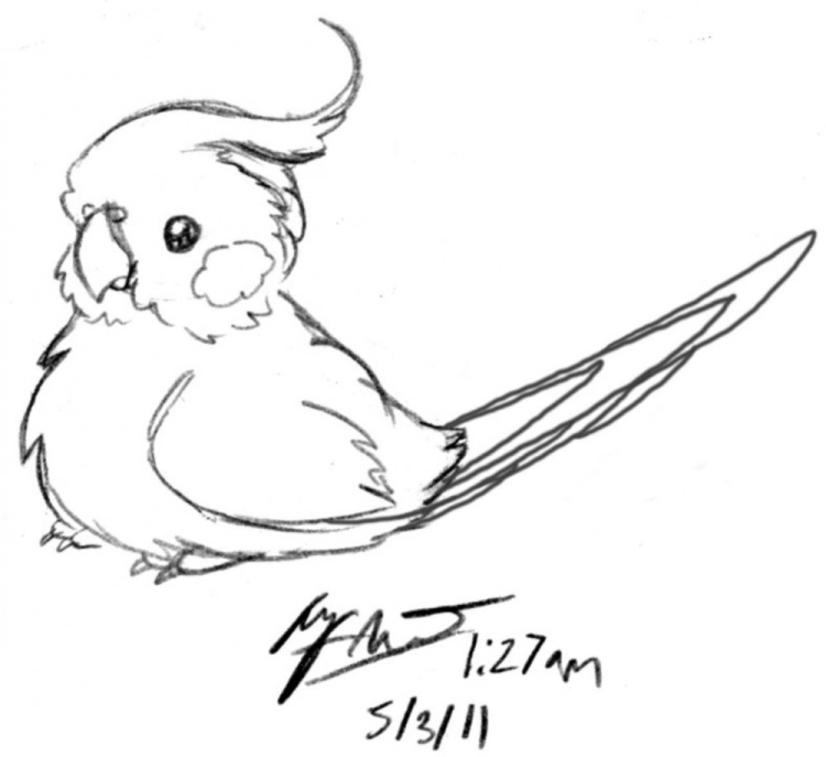 Рисунок для срисовки карандашом попугай