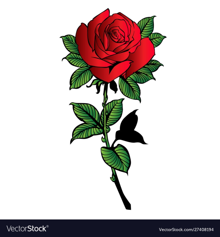 Красная роза рисунок