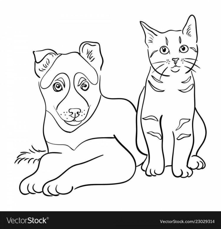 Раскраски кошек и собак 50 фото