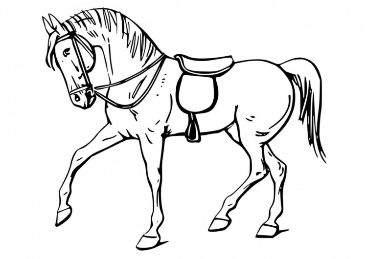 Раскраски лошадей для детей