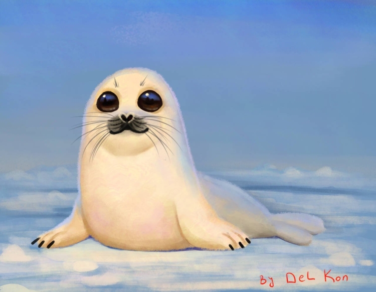 Морской котик рисунок