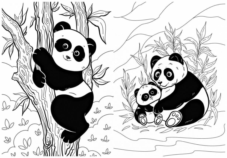 Большая панда раскраска