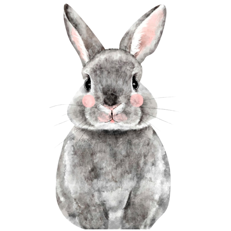 Заяц рисунок серый