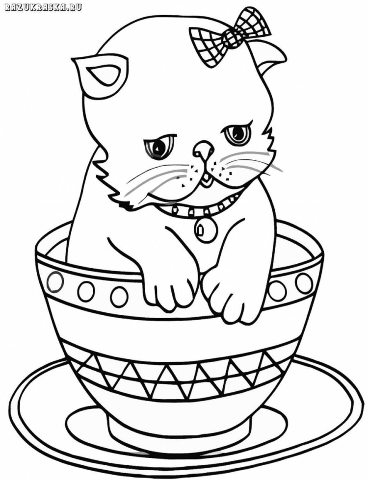 Котик в чашке раскраска