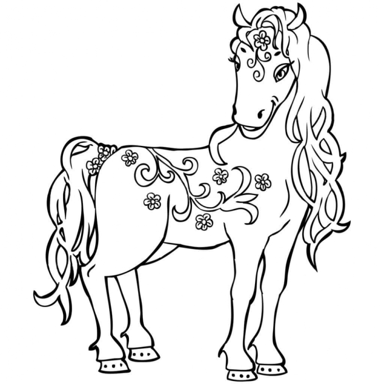 Раскраска коняшка