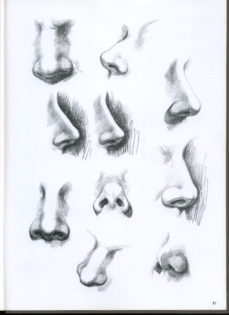 Нос в профиль рисунок