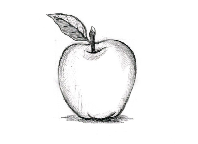 Яблоко рисунок карандашом легкий