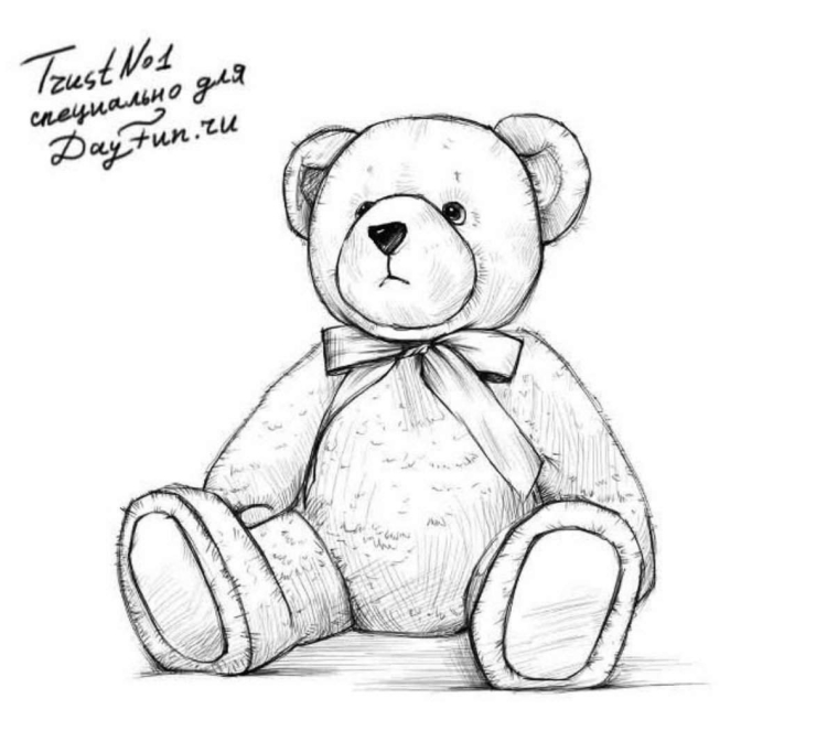 Плюшевый медведь рисунок карандашом