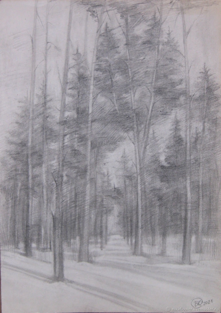 Зимний лес рисунок карандашом