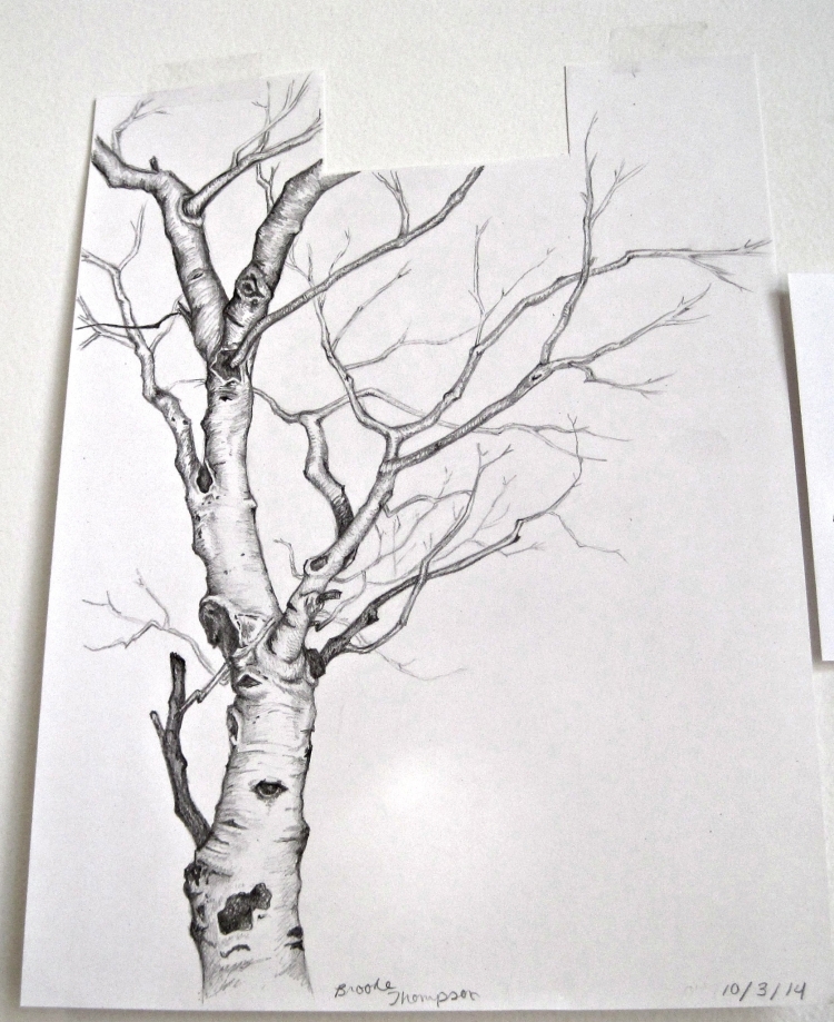 Рисунок дерева простым карандашом
