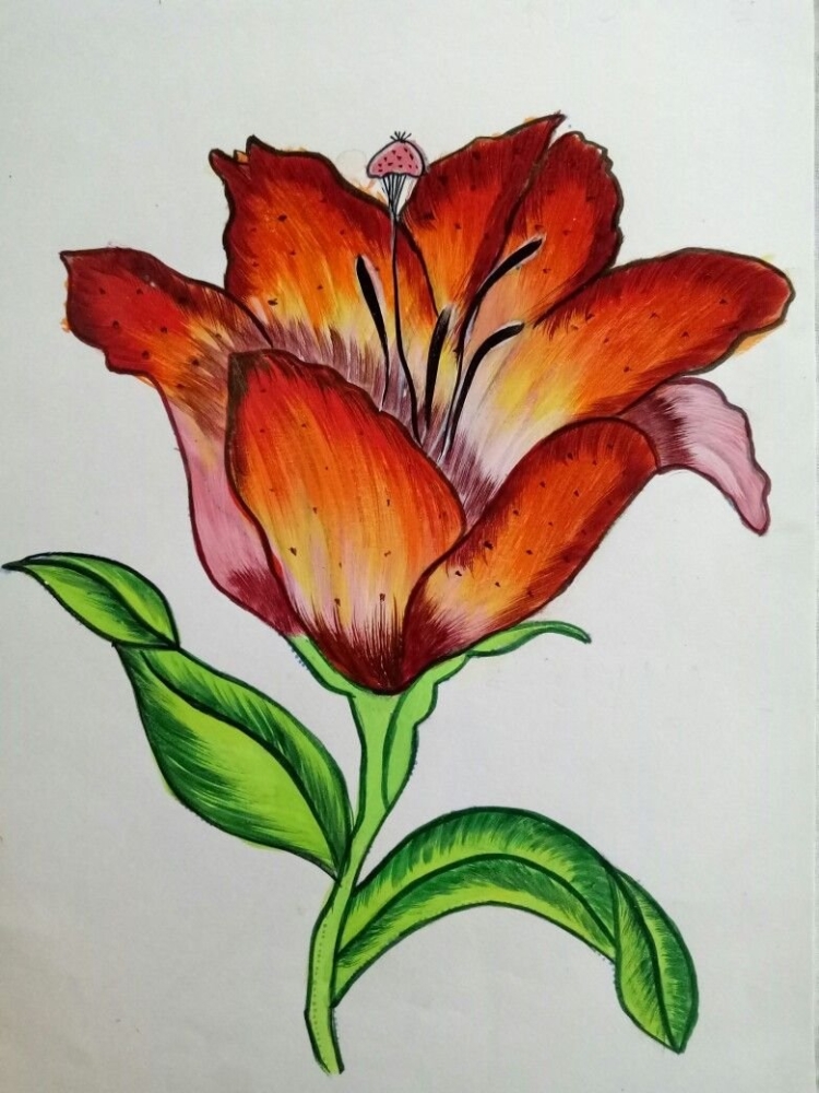 Аленький цветочек рисунок карандашом