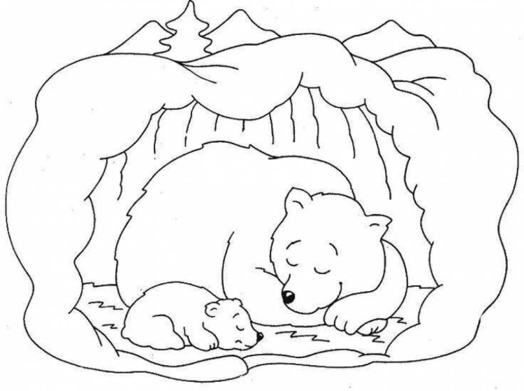 Животные в спячке рисунок (49 фото) » рисунки для срисовки на вороковский.рф