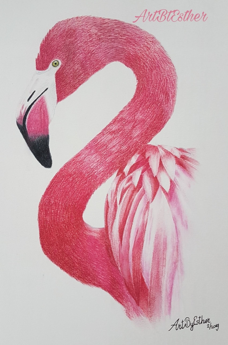 Розовый фламинго рисунок карандашом