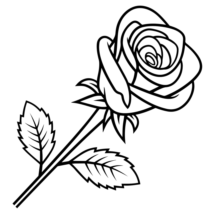 Роза раскраска для детей