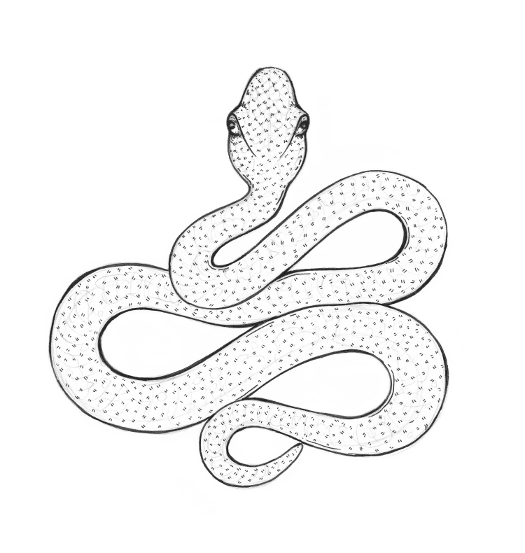 Змея рисунок простой