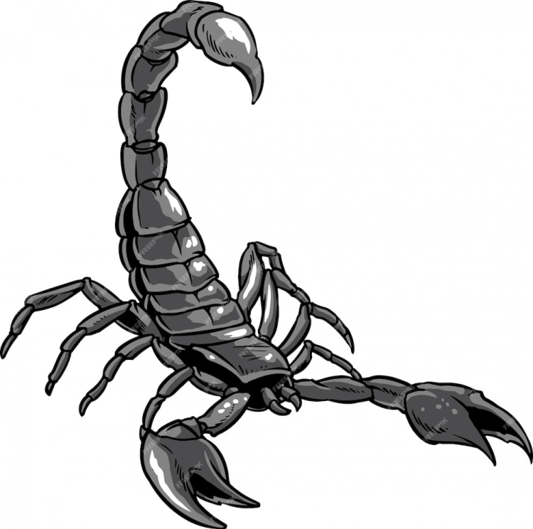 Рисунок скорпиона карандашом