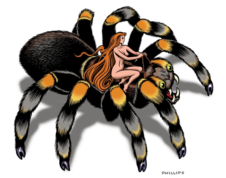 Паук тарантул рисунок