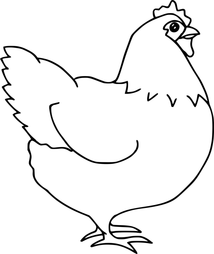 Курица рисунок карандашом