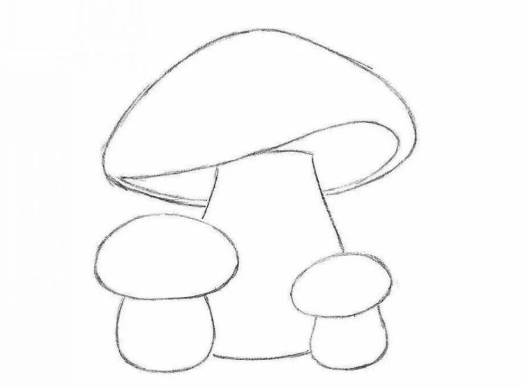 Рисунки грибов карандашом