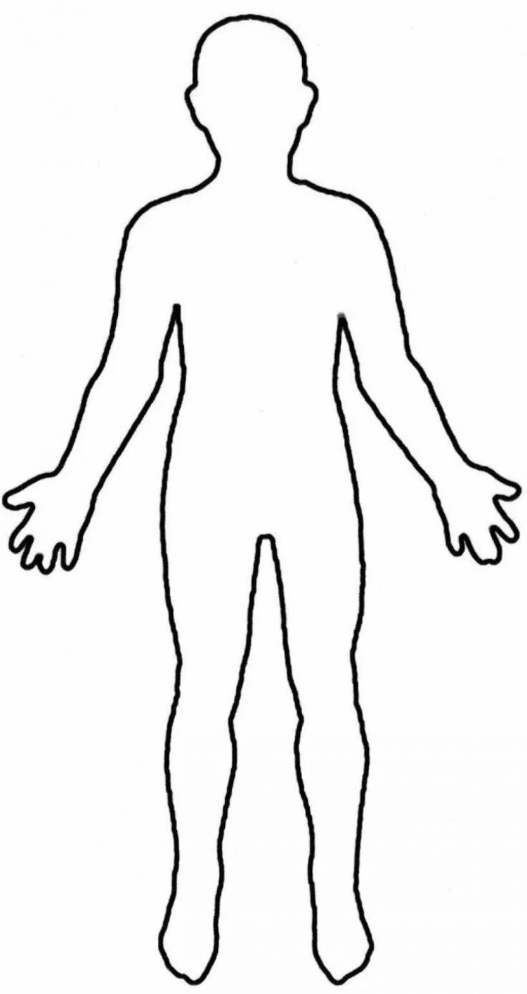 Раскраска тело человека - 61 фото