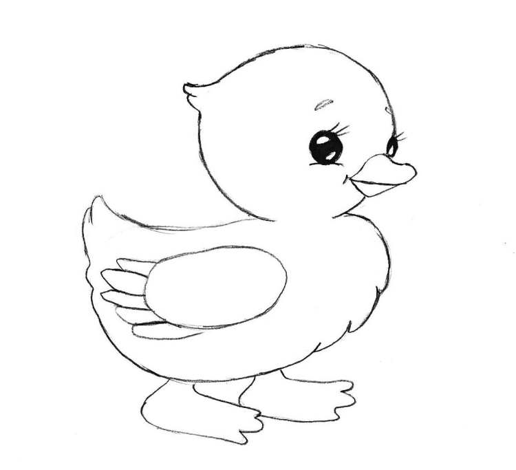 Рисунок цыпленка карандашом