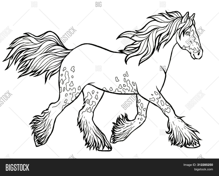 Красивые лошади раскраска